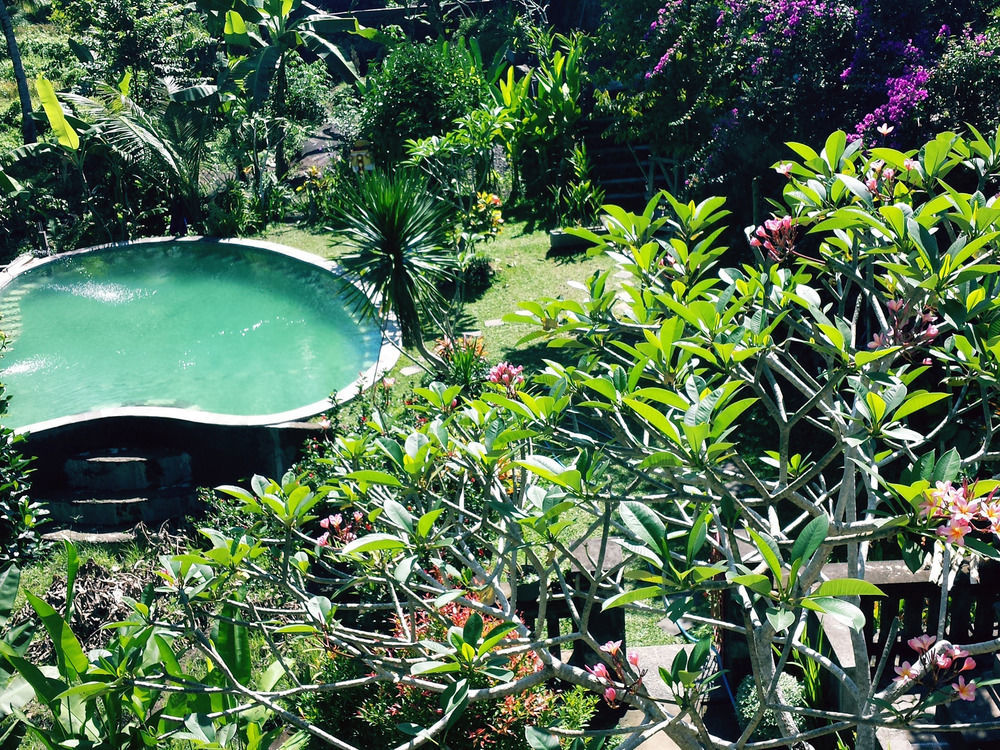 Oyo 1946 Terrace Campuhan Ubud Esterno foto