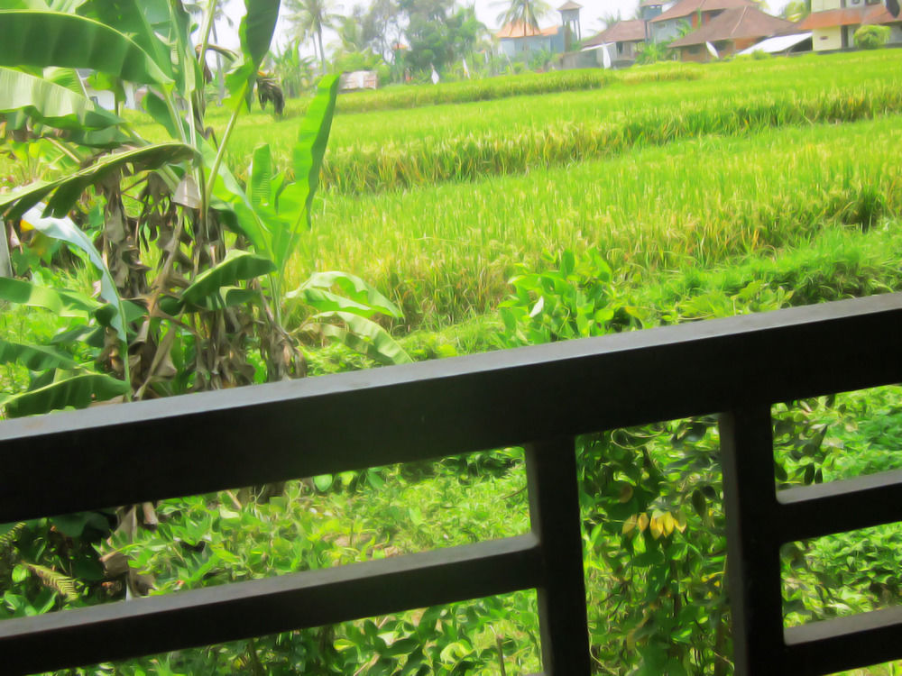 Oyo 1946 Terrace Campuhan Ubud Esterno foto