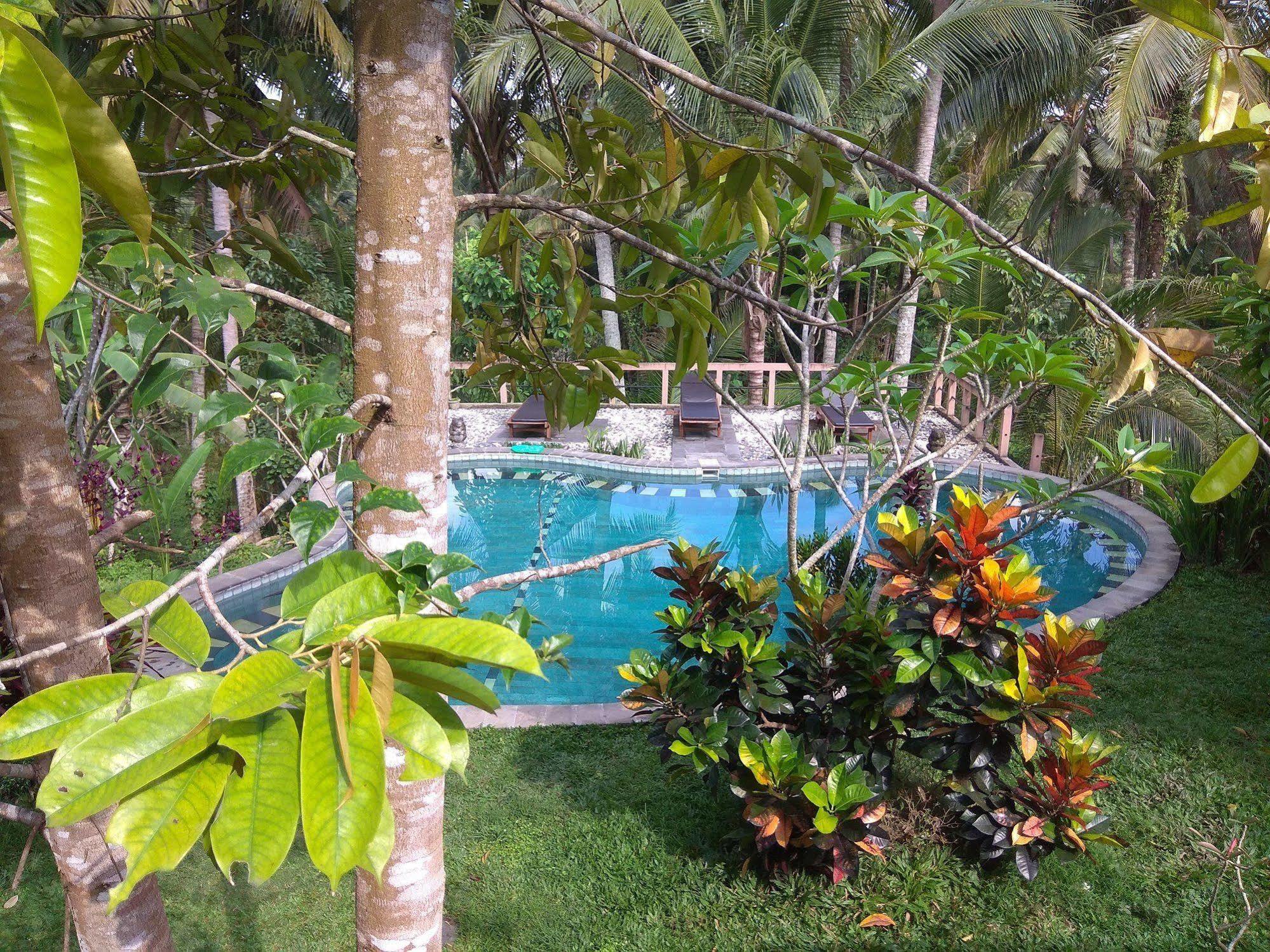 Oyo 1946 Terrace Campuhan Ubud Esterno foto