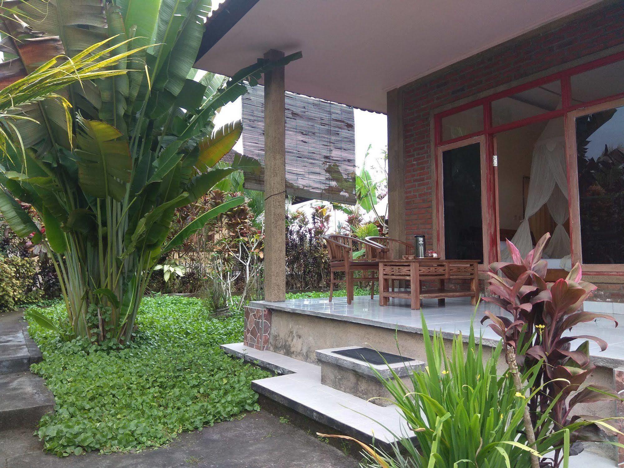Oyo 1946 Terrace Campuhan Ubud Esterno foto